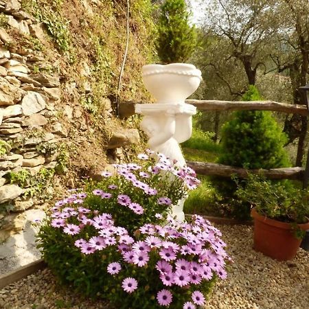Casa Vacanze Sole Borghetto d'Arroscia Exterior foto