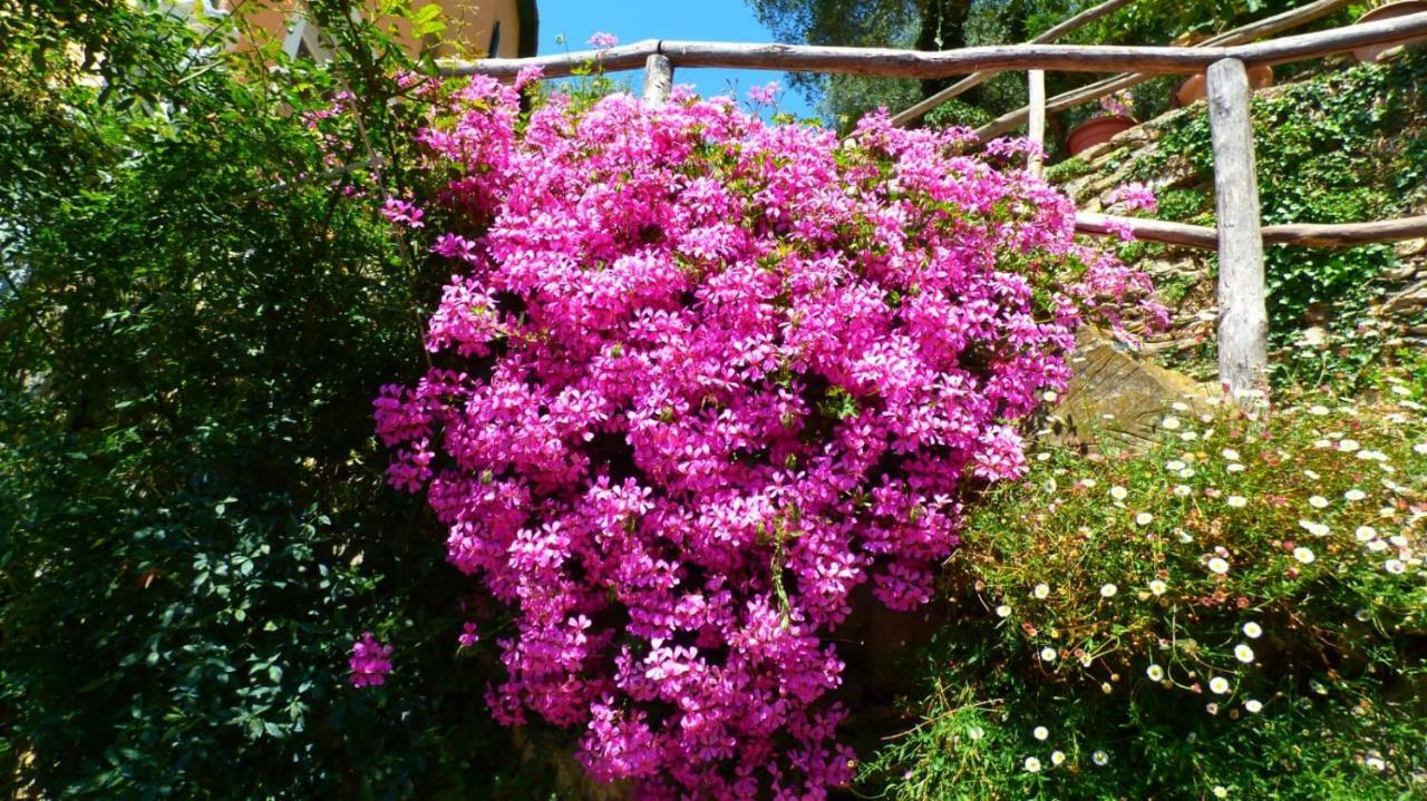 Casa Vacanze Sole Borghetto d'Arroscia Exterior foto